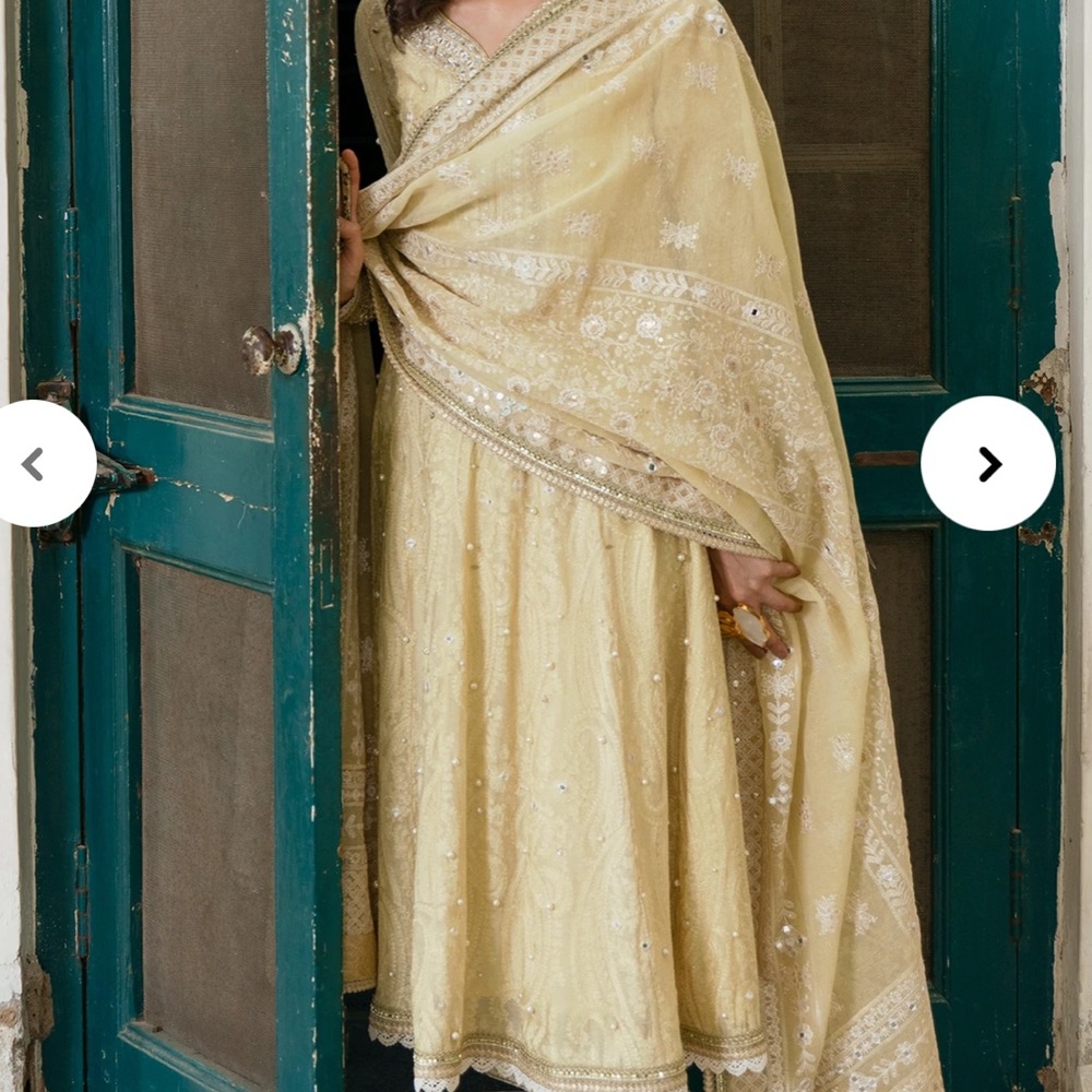 Pakistani designer dress - Picture 3 of 6